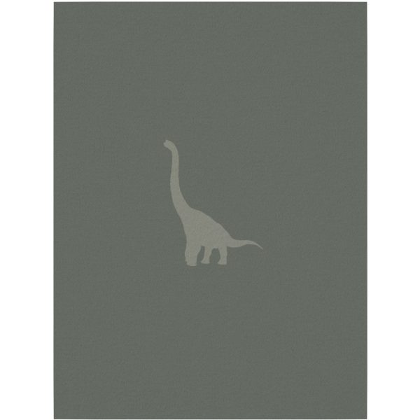 Name It Agave Green Natdragt 2-pack Zip Green Dino Noos Fashion