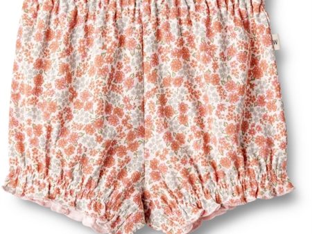 Wheat Rose Flowers Jersey Shorts Sonja on Sale